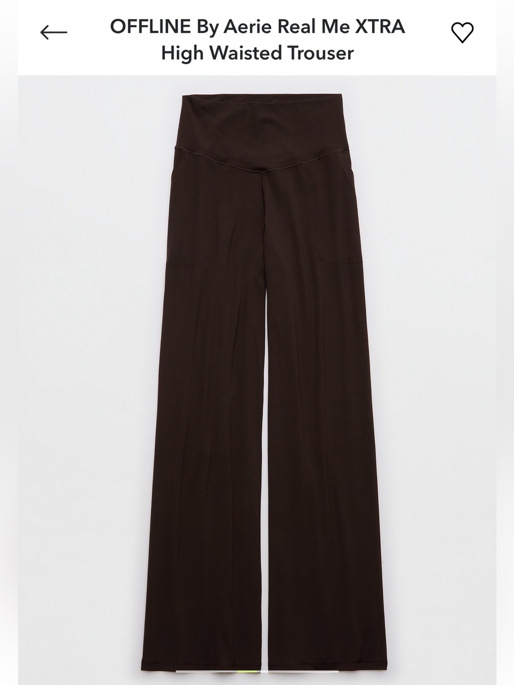 Aerie OFFLINE Wide Leg High-Rise Pants in Deep Earth